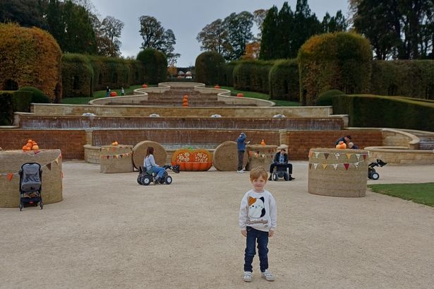 Rebecca's son Logan at Alnwick Gardens