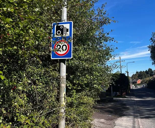 A speed limit sign is obscured by trees