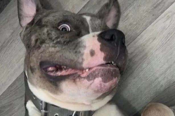 Ghost was shot to death by police