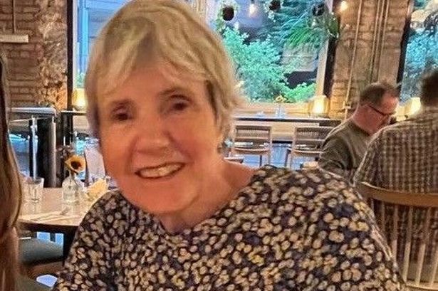 Sue Torkington