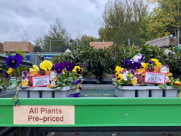 Some flowers could be seen at a reduced price 