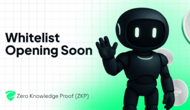 Building the Internet of Proofs