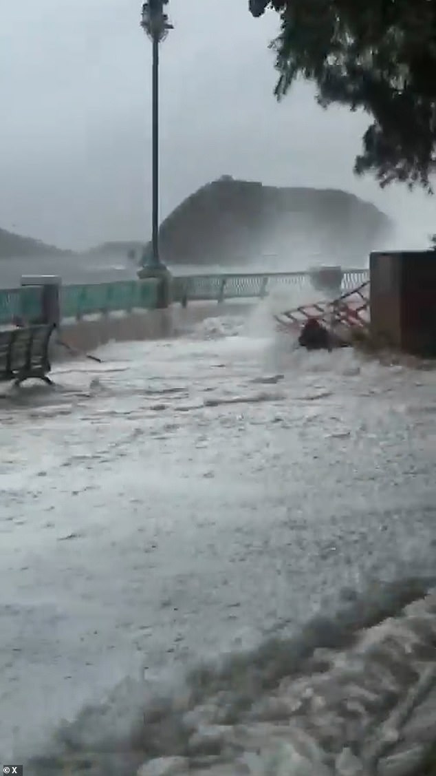 As the water around them receded, they were seen struggling to get back up again