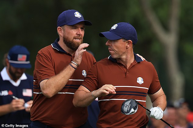Shane Lowry was playing alongside McIlroy when the abuse was at its most vicious