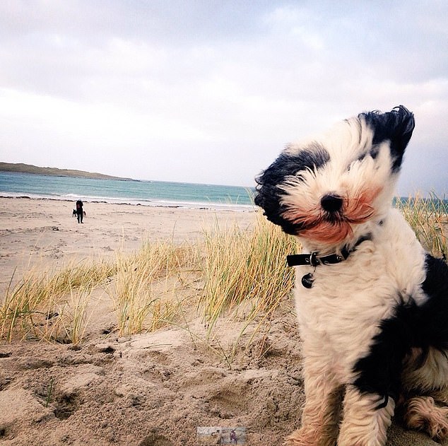 Pip's beloved pooch was healthy and happy before he passed away at 16 years old and Pip is sure that being on a plant-based diet gave him that extra time and vitality