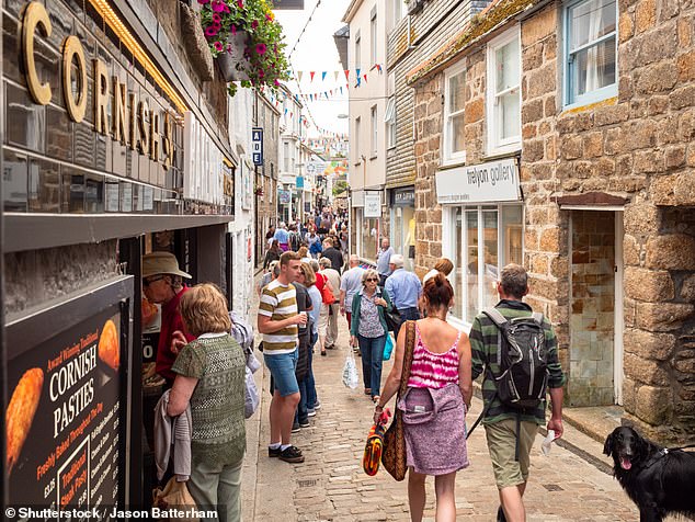 Second homes being snapped up in popular tourist destinations, including St Ives (pictured), Port Isaac and Padstow have outpriced locals - and sparked protests against overtourism