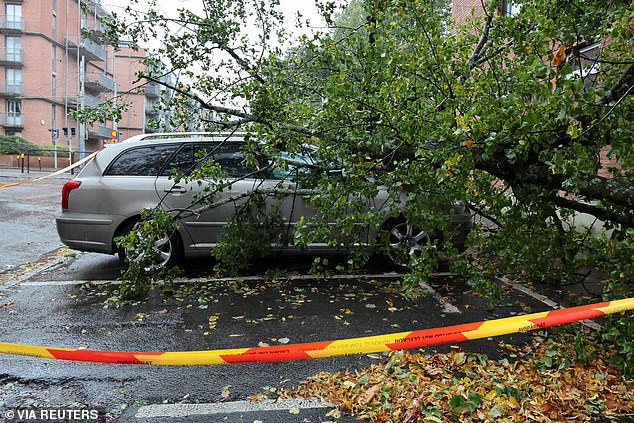 Storm Amy has begun reaching northern Europe, with a large tree seen falling onto a parked car in Gotheburg, Sweden, on Saturday morning