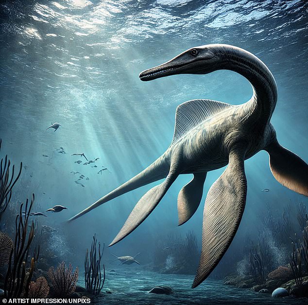 The cryptozoologist, from Florida, believes one ‘strange sound’ warrants further analysis