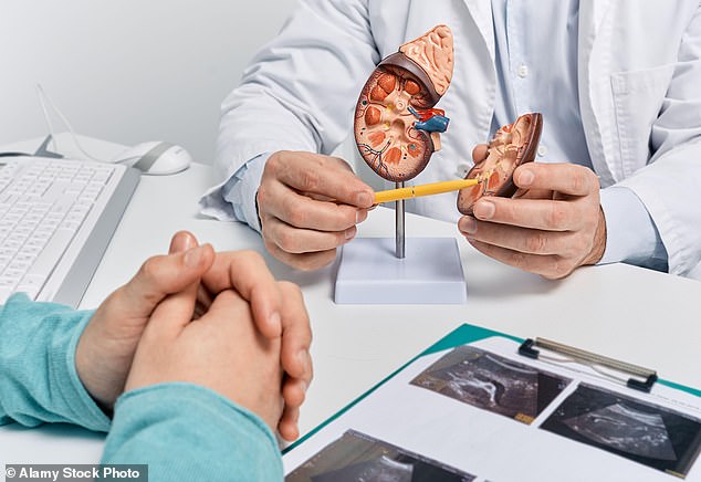 Currently, treatment of kidney stones depends on where they are, their size and whether they are causing symptoms