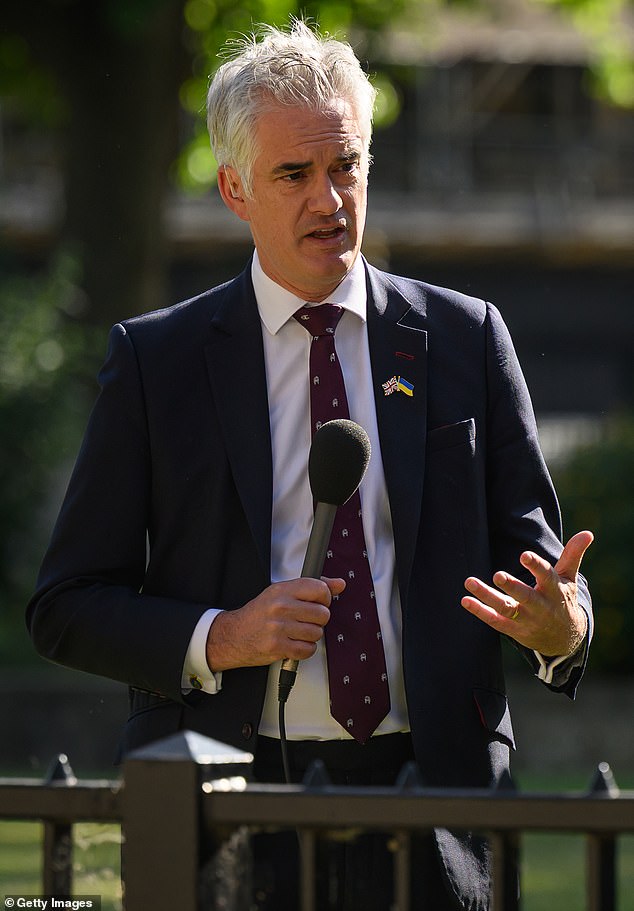 In an exclusive interview with the Daily Mail, shadow defence secretary James Cartlidge (pictured) vowed that the next Tory government would ¿absolutely guarantee the protection of veterans from vexatious claims¿