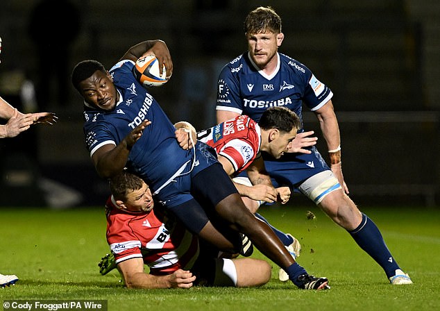 Jibulu has raw power and his ball-carrying has been highly praised by Sale's director of rugby Alex Sanderson