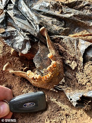Pictured: The human remains found near St Wilfred's Church in Doncaster