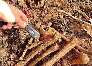 Human bones have were found in a plastic bag near a graveyard by two builders, a police force has confirmed