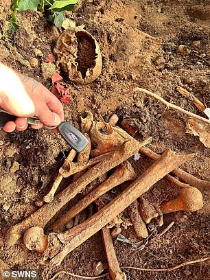 Human bones have were found in a plastic bag near a graveyard by two builders, a police force has confirmed