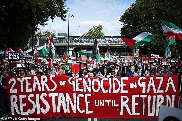 Pro-Palestinian supporters hold placards and wave flags in central London, on October 11