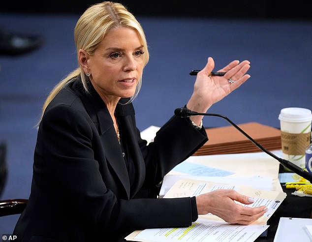 On Tuesday, in real-life politics, Democratic California Senator Adam Schiff publicly listed the questions Bondi had so far dodged during the Senate Judiciary Committee hearing - including inquiries about the Jeffrey Epstein files (pictured)