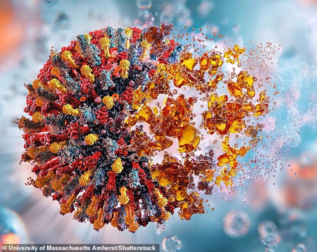 The groundbreaking jab prevents melanoma, pancreatic and breast cancers in mice - and scientists say it could work in humans