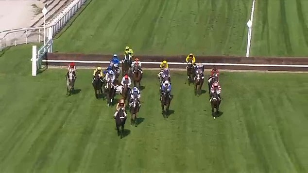 His gelding, Sunny Swing, took an extra stride and flipped going into the fourth obstacle