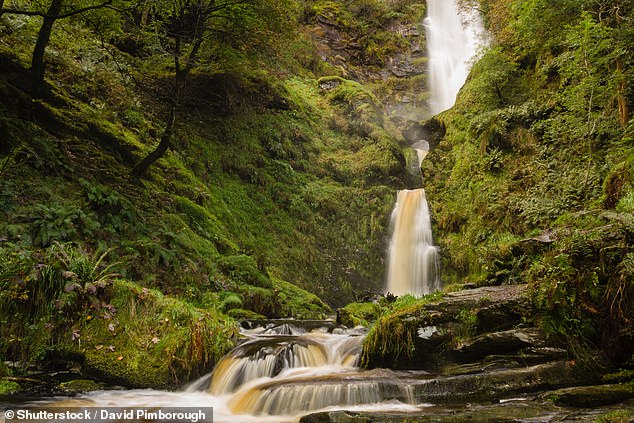 Glyndŵr National Park could stretch from Prestatyn to northern Powys and is currently undergoing the consultation process