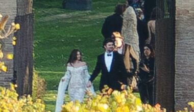 Antonio Banderas and Melanie Griffith 's daughter Stella del Carmen Banderas' glamorous Spanish wedding was reportedly attended by a slew of stars