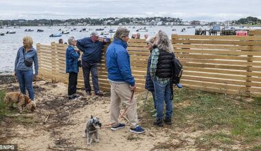 Sandbanks residents gathered on the beach in the aftermath of the 'oppressive' timber fence mysteriously appearing