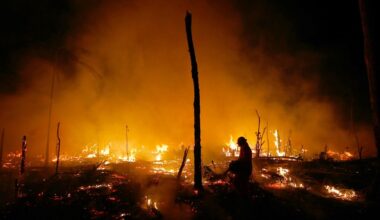 Record-breaking Amazon fires triggered as much CO₂ as an entire country last year