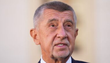 Czech elections: Babiš will pave his own way in the EU, observers say