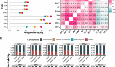 Genomic predictions for growth and feed efficiency traits in a duck breeding population | BMC Genomics