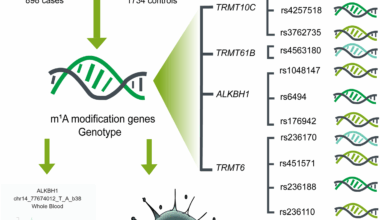 Association of genetic variants in m1A modification core genes and neuroblastoma risk | BMC Cancer