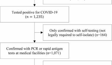 Non-standard employment, paid sick leave, and income loss during COVID-19 self-isolation: cross-sectional findings from South Korea | International Journal for Equity in Health