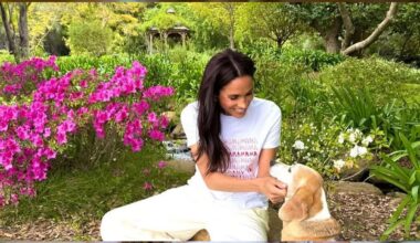 Meghan Markle’s quirky home touch leaves fans surprised