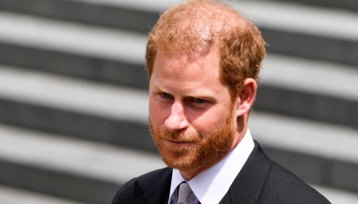 Prince Harry replaced from special role after 'men in grey suits' comment