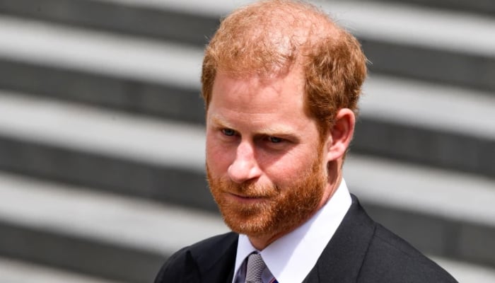 Prince Harry replaced from special role after men in grey suits comment