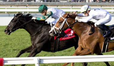 Download app from appStore