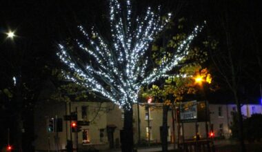 Wallyford Christmas lights: sponsor a light appeal launched