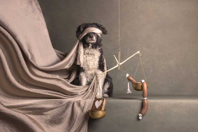 A black and white dog sits blindfolded on a ledge with draped fabric, holding a balance scale with sausages on one side and a heart-marked pot on the other, in a soft, neutral-toned setting.