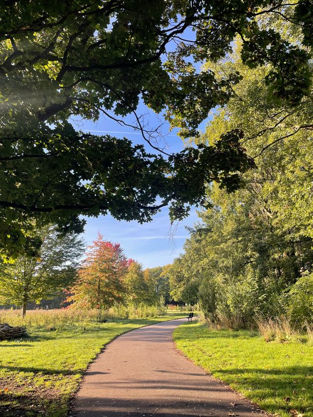 The park looks particularly striking in the early morning light 