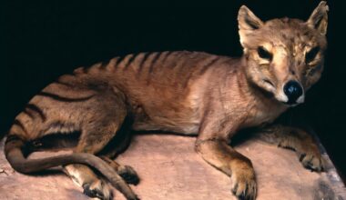 Research traces 50,000 years of change