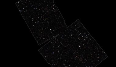 Potential smoking gun signature of supermassive dark stars found in JWST data