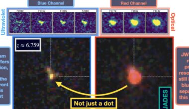 Little Red Dots frequently reveal clumpy morphologies, some of which bear hallmarks of active black holes