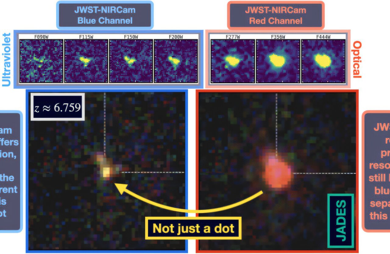 Little Red Dots frequently reveal clumpy morphologies, some of which bear hallmarks of active black holes