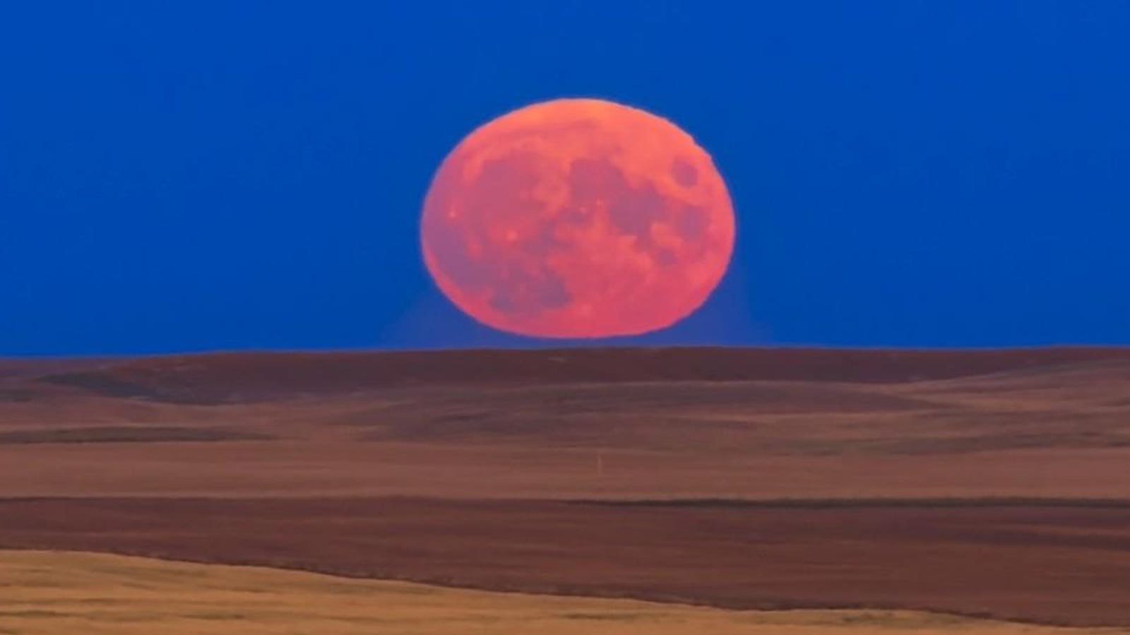 When To See The ‘Harvest Supermoon’ Rise
