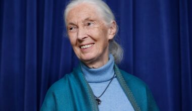 Jane Goodall, pioneering chimpanzee zoologist who revealed the animals’ links to humans, dies aged 91