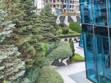 2x crop zoom daylight photos - f/1.6, ISO 50, 1/111s - Xiaomi 15T Pro review