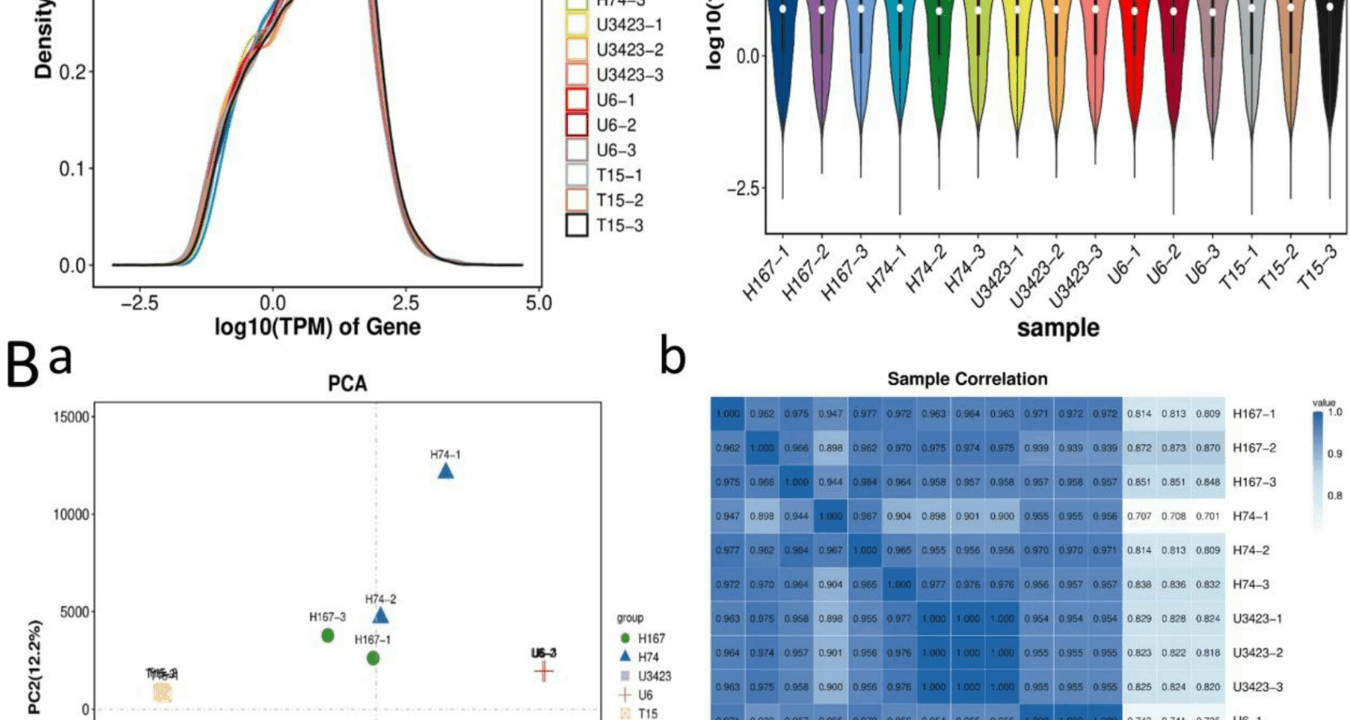 Exploring the genetic basis of heterosis in eucalypt growth based on transcriptome analysis | BMC Genomics