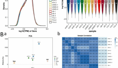Exploring the genetic basis of heterosis in eucalypt growth based on transcriptome analysis | BMC Genomics