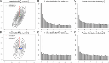 Incorporating additive genetic effects and linkage disequilibrium information to discover gene-environment interactions using BV-LDER-GE | Genome Biology