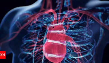 Heart Health: More than 99% of heart conditions come with early warning signs, new study finds |