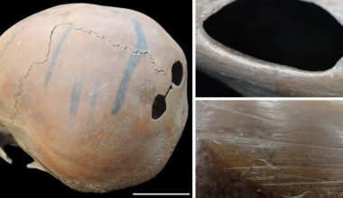 Neolithic Chinese culture artifacts show systematic human bone modification