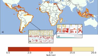Millions of buildings at risk from sea level rise, analysis finds